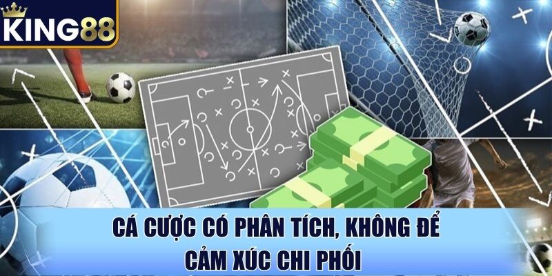 Cá cược có phân tích, không để cảm xúc chi phối Cá cược có phân tích, không để cảm xúc chi phối