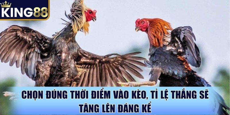 Chọn đúng thời điểm vào kèo, tỉ lệ thắng sẽ tăng lên đáng kể Chọn đúng thời điểm vào kèo, tỉ lệ thắng sẽ tăng lên đáng kể