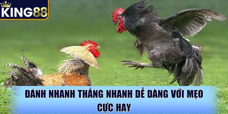 Đánh nhanh thắng nhanh dễ dàng với mẹo cực hay