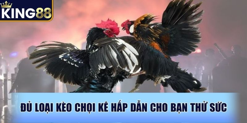 Đủ loại kèo chọi kê hấp dẫn cho bạn thử sức
