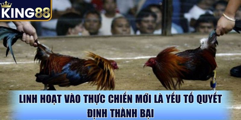 Linh hoạt vào thực chiến mới là yếu tố quyết định thành bại