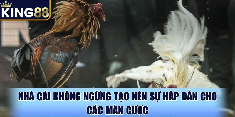 Nhà cái không ngừng tạo nên sự hấp dẫn cho các màn cược Nhà cái không ngừng tạo nên sự hấp dẫn cho các màn cược