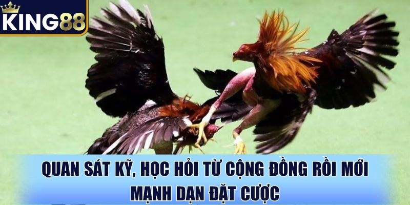 Quan sát kỹ, học hỏi từ cộng đồng rồi mới mạnh dạn đặt cược Quan sát kỹ, học hỏi từ cộng đồng rồi mới mạnh dạn đặt cược