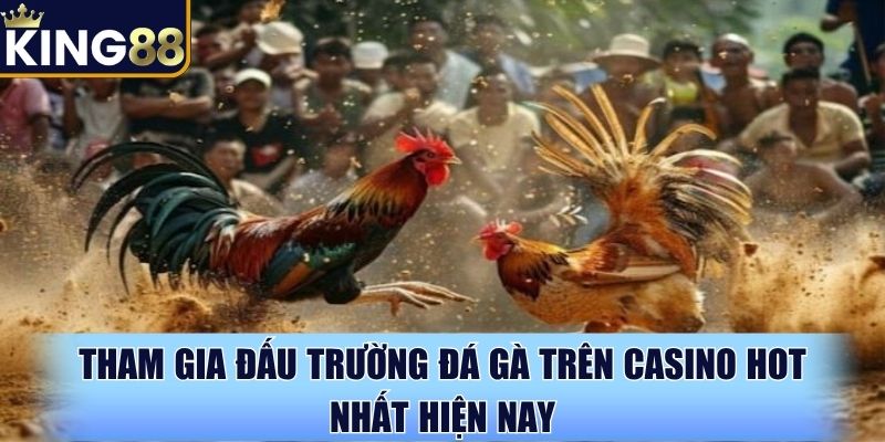 Tham gia đấu trường đá gà trên casino hot nhất hiện nay