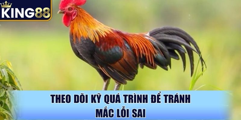 Theo dõi kỹ quá trình để tránh mắc lỗi sai